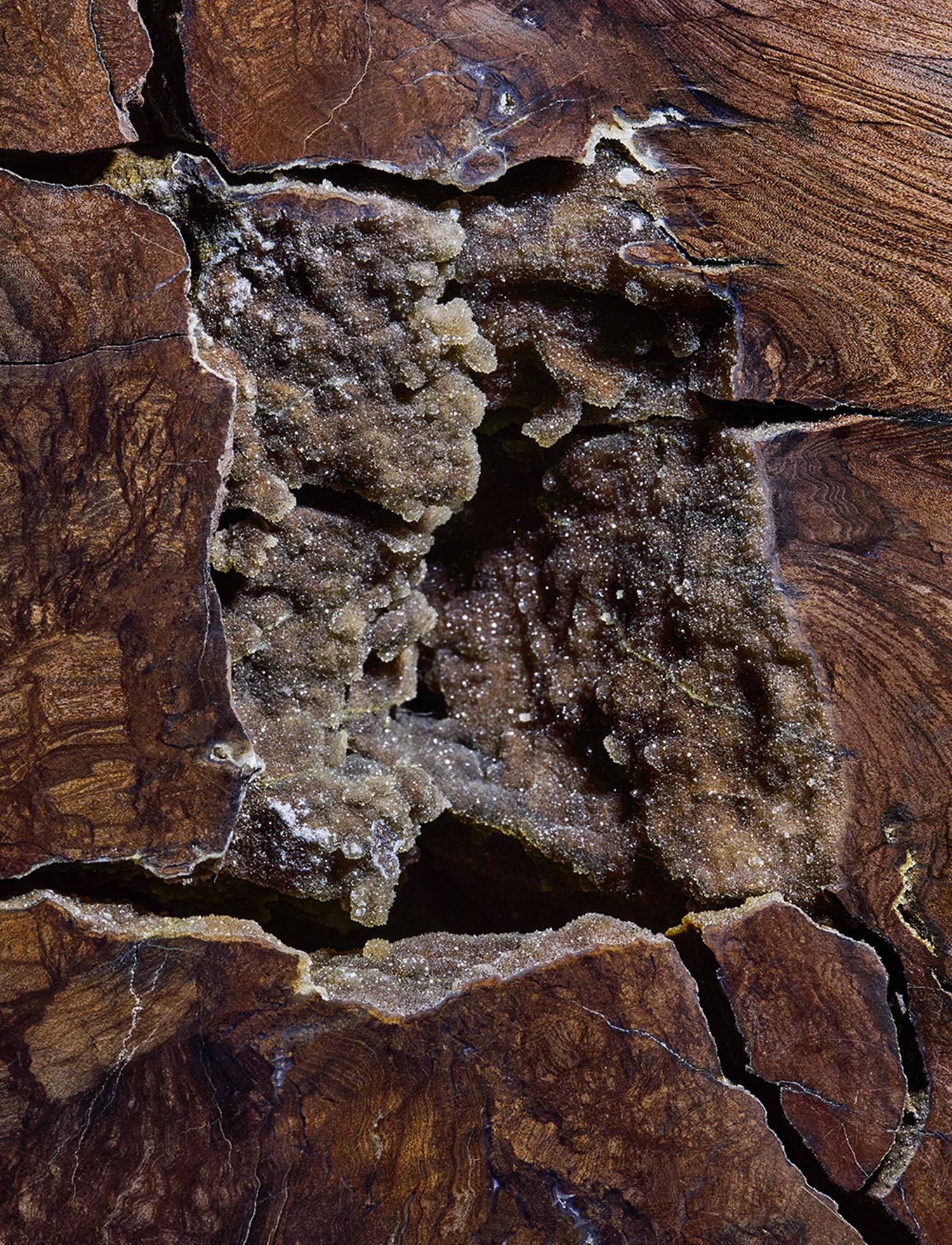 BS_Produkte_Baumstein-Tisch_4