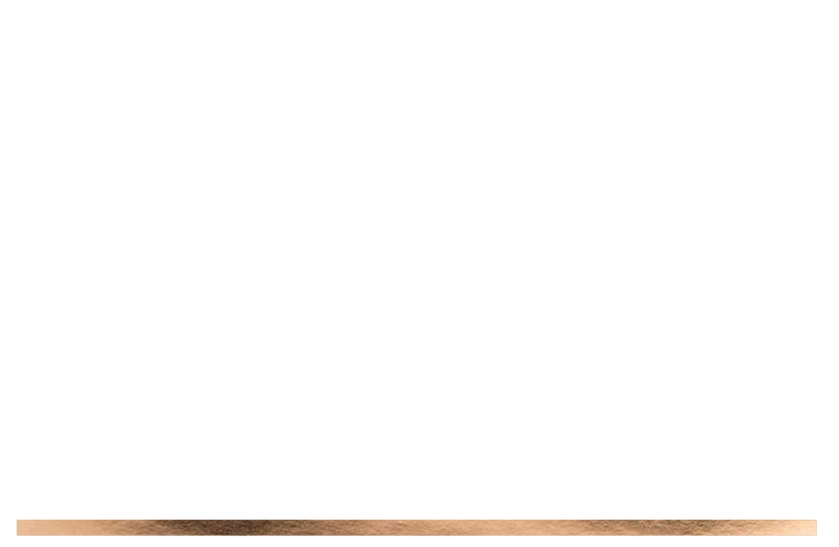 Baumstein Logo