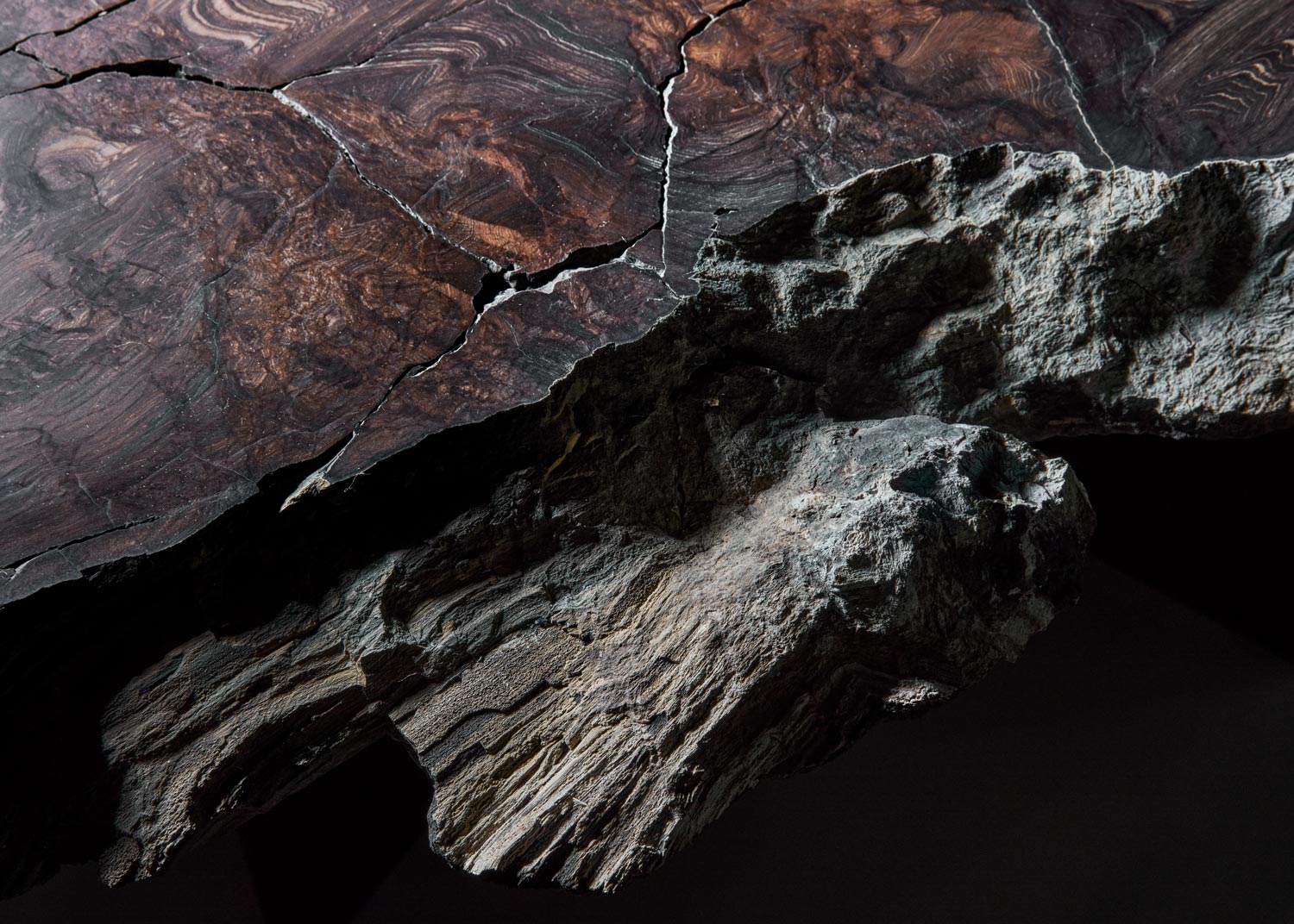 Baumstein – Ursprung Header 2