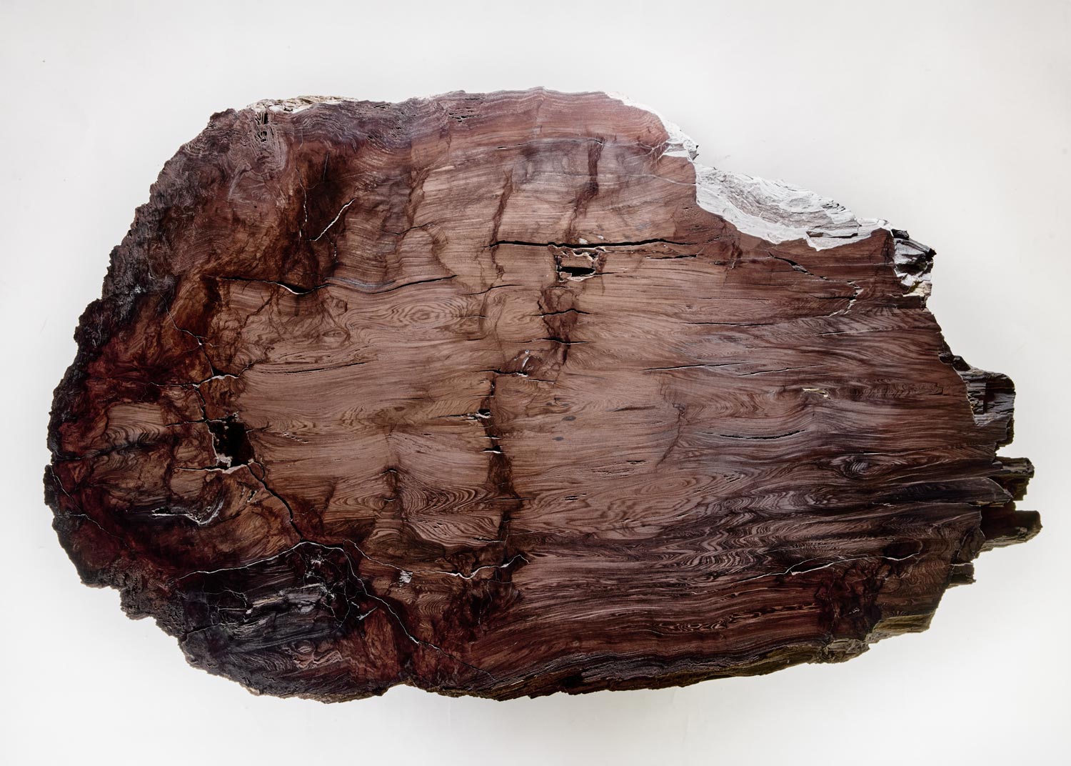 Baumstein – Header Transformation