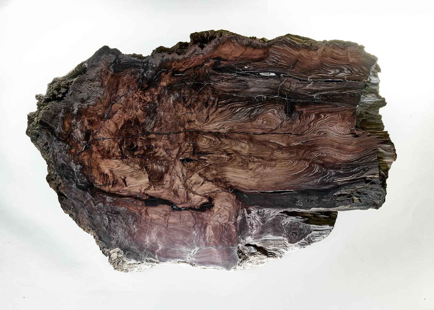 Baumstein – Header Transformation