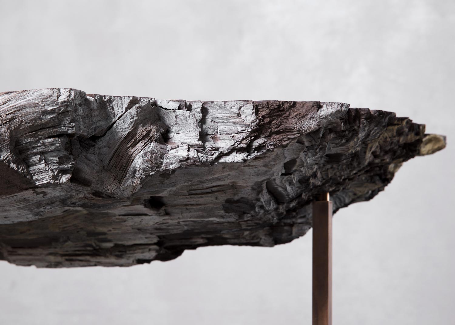 Baumstein – Ursprung Baum